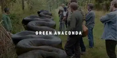 أكبر 10 ثعابين الأناكوندا الخضراء